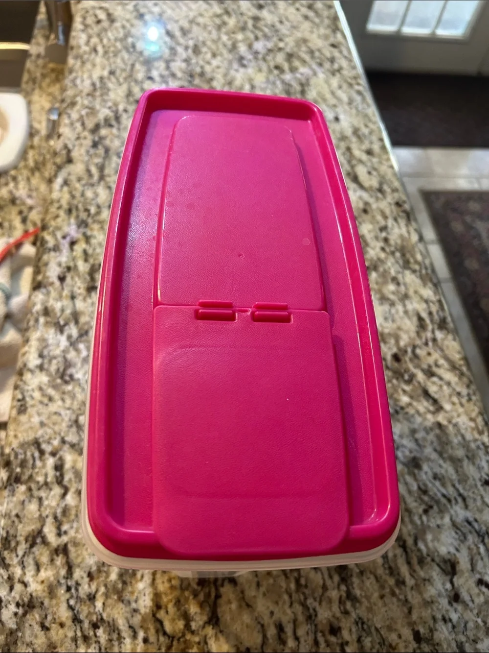 Rubbermaid Clear 21 Cups Storage Container with Pink Flip-Top Lid